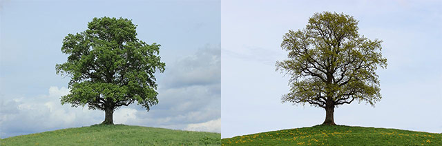 zomer, herfst