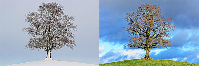 winter, lente